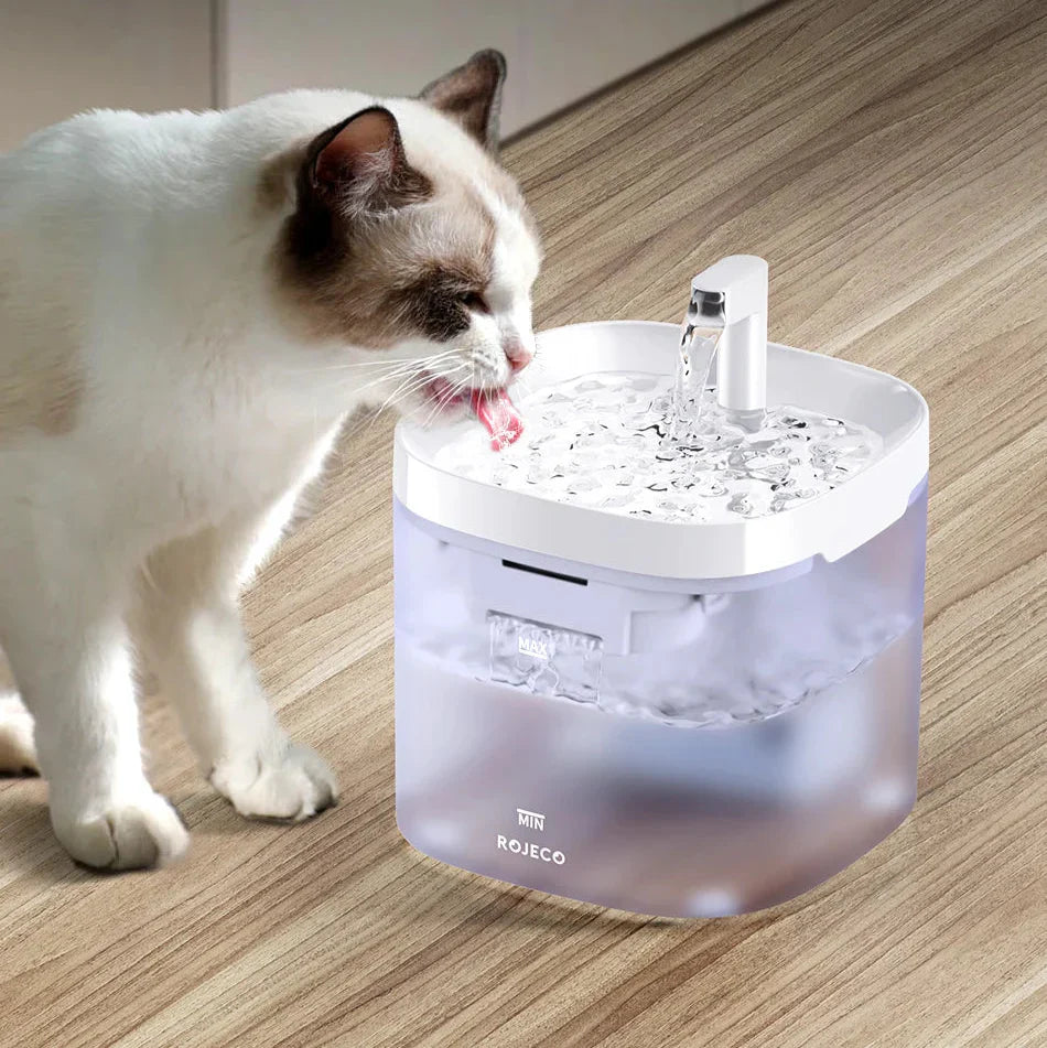 Intelligenter Katzentrinkbrunnen, automatischer Wasserspender für Haustiere